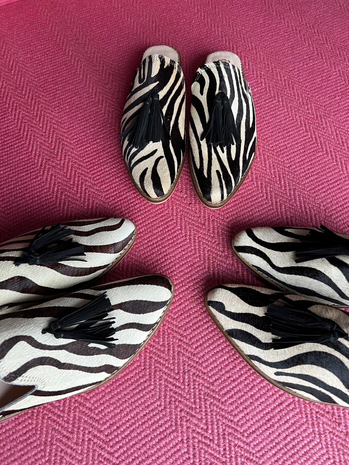 Dina in Zebra